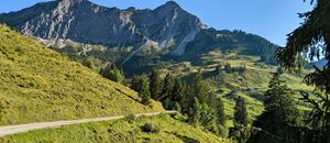 Mountainbiketour zur Alpe Steris