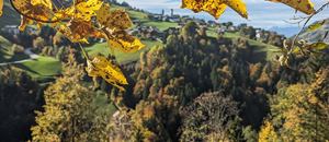 Herbst in Raggal