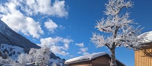 Winterstimmung