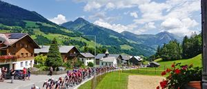 Hauptfeld - Tour of Austria in Plazera