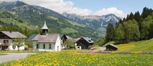 Blumenwiesen in Plazera