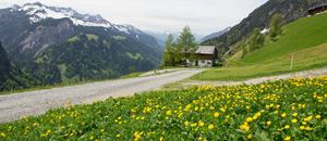 Alpe Unter-Überluth