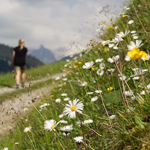 Camping Grosswalsertal im Juni