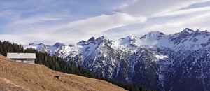 Biketour zur Alpe Stafelfeder