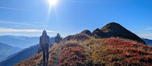 Kurz vor dem Gipfel vom Zafernhorn